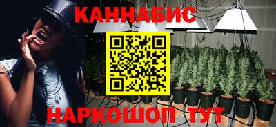 эйфоретик Славгород